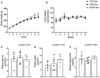 Egg-Phosphatidylcholine Attenuates T-Cell Dysfunction in High-Fat Diet Fed Male Wistar Rats